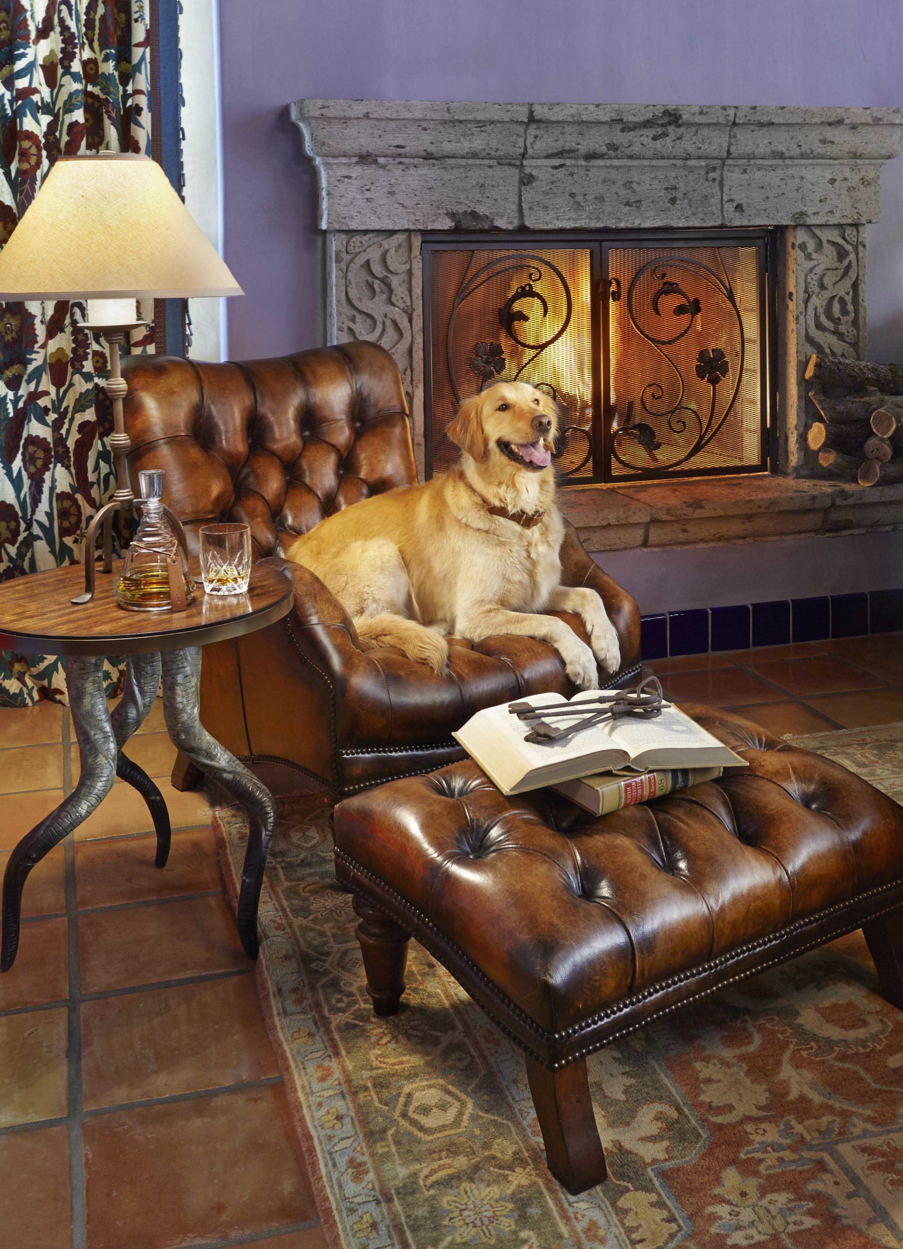 Leather chair in front of fire place with golden retriever sitting on it
